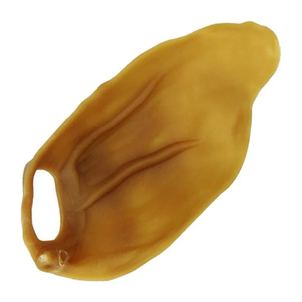 תמונה ממוזערת 1