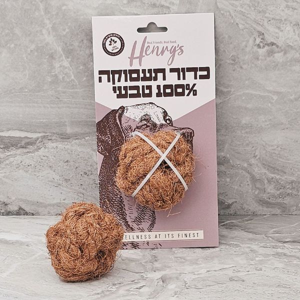 תמונה ממוזערת 1