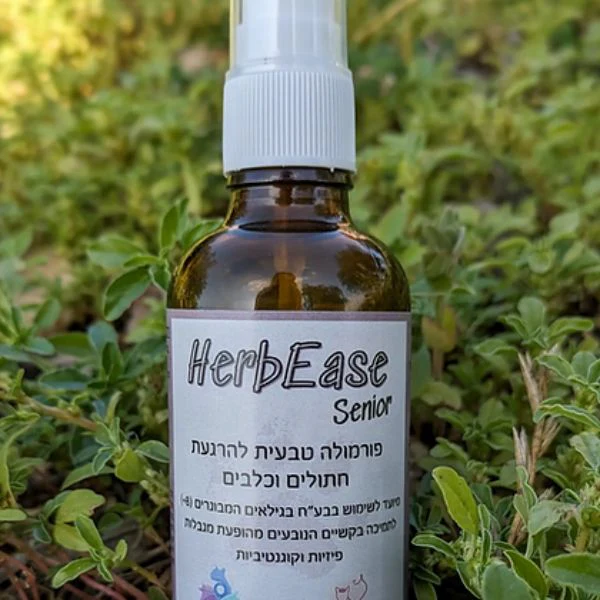 תמונה ממוזערת 2
